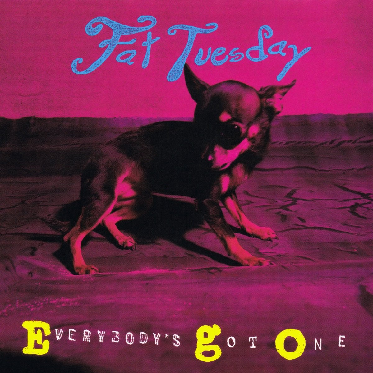 Everybody’s Got One album cover